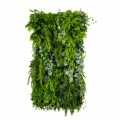 GD150_HANGING_GARDENS_50X100.jpg