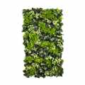 GD130_LITTLE_GREEN_50X100.jpg