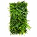 GD143_WILD_FERN_50X100.jpg