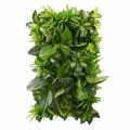 GD120_TROPICAL_FRESHNESS_50X100.jpg