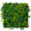 GD174_CRISPSEED_50x50.jpg