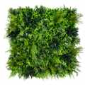 GD171_NEST_50x50.jpg