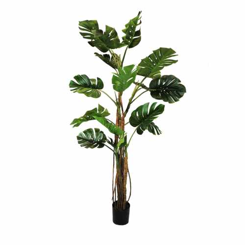 GD4157_MONSTERA_210cm.jpg