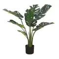 GD4152_MONSTERA_120cm.jpg