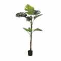 GD4153_MONSTERA_135cm.jpg