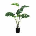 GD4150_MONSTERA_70cm.jpg