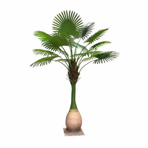 GD4231_PALMA_DYPSIS_250cm.jpg