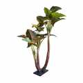 GD4550_PHILODENDRON_260cm.jpg