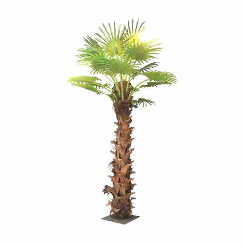 GD4282_PALMA_SABAL_350cm.jpg