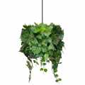 GD _GREEN DESIGNERS_SKLEP_Lampa.jpg