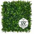GD278_BERBERYS_UV_50x50_stempel_ENG.jpg