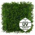GD283_BUXUS_UV_STEMPEL_ENG.jpg