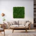 GD283_BUXUS_UV_100x100_wizualizacja.jpg