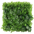 GD627_GREEN_DESIGNERS_mata_AZALIA_50x50cm.png